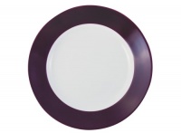 Pronto blackberry dinner plate 10.24 inches Pronto blackberry dinner plate 10.24 inches