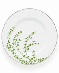 An instant classic from kate spade, this Gardner Street Green salad plate exudes contemporary elegance. Green stems of foliage flourish on fine white bone china, creating a stylized two-tone floral motif to freshen up your table. An instant classic from kate spade, this Gardner Street Green salad plate exudes contemporary elegance. Green stems of foliage flourish on fine white bone china, creating a stylized two-tone floral motif to freshen up your table.