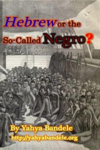 Hebrew or the So-Called Negro?