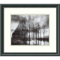 Trees in Normandy by Bill Philip, Framed Print Art - 13.46 x 15.46 Trees in Normandy by Bill Philip, Framed Print Art - 13.46 x 15.46