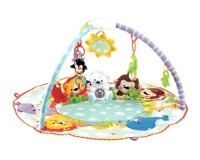 Fisher-Price Precious Planet Deluxe Musical Activity Gym Fisher-Price Precious Planet Deluxe Musical Activity Gym