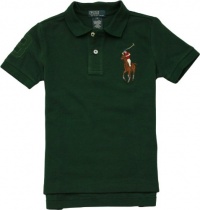 Polo Ralph Lauren Toddler Boys's Multicolor Big Pony Polo (3/3T, Regent Green)