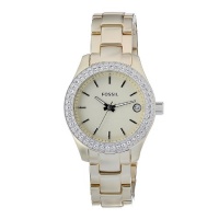 Fossil Women's ES2962 QuartzGolden Dial Aluminum Watch