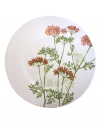 A natural for casual dining, the Althea Nova salad plate by Villeroy & Boch features durable porcelain planted with delicate herbs for a look that's fresh from the garden. With green trim. A natural for casual dining, the Althea Nova salad plate by Villeroy & Boch features durable porcelain planted with delicate herbs for a look that's fresh from the garden. With green trim.