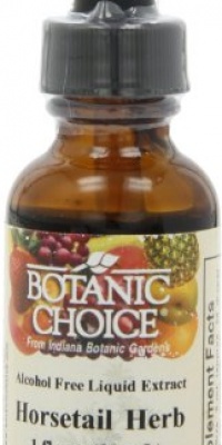 Botanic Choice Alcohol Free Liquid Extract, Horsetail Herb, 1 Fluid Ounce (Pack of 2)