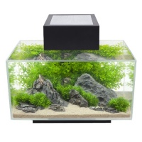 Fluval Edge 6-Gallon Aquarium with 21-LED Light, Black Fluval Edge 6-Gallon Aquarium with 21-LED Light, Black