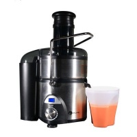 Oklife OKL6063 9-Speed Stainless Steel Juice Extractor Oklife OKL6063 9-Speed Stainless Steel Juice Extractor