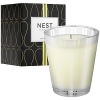 NEST Fragrances NEST01-GF Grapefruit Scented Classic Candle