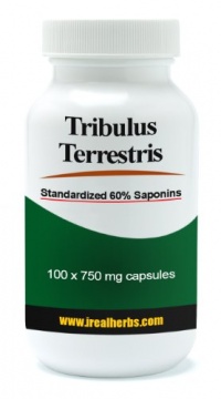 Tribulus Terrestris Extract, Standardized 60% Saponins, 750mg 100 Capsules