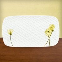 Lenox Simply Fine Watercolor Citrus 13-3/4-Inch Hors D'oeuvre Tray Lenox Simply Fine Watercolor Citrus 13-3/4-Inch Hors D'oeuvre Tray