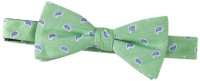 Countess Mara Men's Ray Paisley Bow Tie, Green, One Size