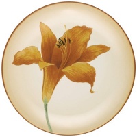 Noritake Colorwave Daylily Accent Plate, Terra Cotta Noritake Colorwave Daylily Accent Plate, Terra Cotta