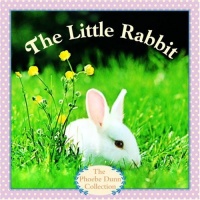 The Little Rabbit The Little Rabbit