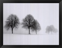 Winter Trees II by Ilona Wellmann Framed Fine Art Print Winter Trees II by Ilona Wellmann Framed Fine Art Print