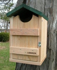 Looker Products Screech Owl, Kestrel and Flicker House Looker Products Screech Owl, Kestrel and Flicker House