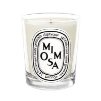 Diptyque Mimosa Candle Candle Diptyque Mimosa Candle Candle