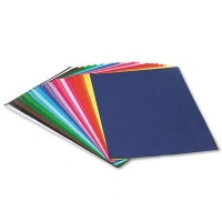 Pacon Spectra(R) Assorted Color Tissue Pack, 12 x 18, 25 Colors, Pack Of 100 Sheets Pacon Spectra(R) Assorted Color Tissue Pack, 12 x 18, 25 Colors, Pack Of 100 Sheets