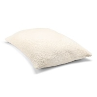 A hypoallergenic pillow that can be easily shaped, rolled or fluffed for comfort and personalized support. A hypoallergenic pillow that can be easily shaped, rolled or fluffed for comfort and personalized support.