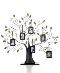 From grandpa to baby girl, get everyone you love together in Leeber's Family Tree picture frame. Six mini metal frames swing from branches in this unique arrangement, a thoughtful gift for birthdays, anniversaries and more. From grandpa to baby girl, get everyone you love together in Leeber's Family Tree picture frame. Six mini metal frames swing from branches in this unique arrangement, a thoughtful gift for birthdays, anniversaries and more.