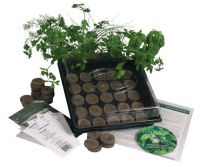 Indoor Culinary Herb Garden Starter Kit- Start Growing Fresh Cooking Herbs & Spices- Great Gift Idea!- Seeds: Parsley, Thyme, Cilantro, Basil, Dill, Oregano, Sweet Marjoram, Chives, Savory, Garlic Chives, Mustard, Sage Indoor Culinary Herb Garden Starter Kit- Start Growing Fresh Cooking Herbs & Spices- Great Gift Idea!- Seeds: Parsley, Thyme, Cilantro, Basil, Dill, Oregano, Sweet Marjoram, Chives, Savory, Garlic Chives, Mustard, Sage