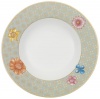 Villeroy & Boch Aureus 9-1/2-Inch Rim Soup Bowl, Blossom