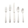 Lenox Opal Innocence Flatware 5-Piece Place Setting