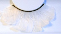 Zinkcolor White Feather False Eyelashes F131 Dance Halloween Cheerleader Costume Zinkcolor White Feather False Eyelashes F131 Dance Halloween Cheerleader Costume
