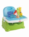 Fisher-Price Discover 'n Grow Busy Baby Booster