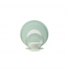 Seychelles Celadon Dinner Plate Large Rim 11 by Philippe Deshoulieres