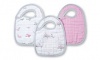 Aden + Anais Snap Bibs - For the Birds