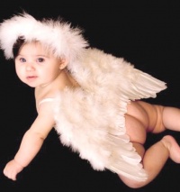 FashionWings (TM) White Feather Wings & Halo for Baby Toddlers 6-18mo as Photo Props, Fairy, Angel, Cupid Costume. Bonus My Angel Moment Photo Frame. FashionWings (TM) White Feather Wings & Halo for Baby Toddlers 6-18mo as Photo Props, Fairy, Angel, Cupid Costume. Bonus My Angel Moment Photo Frame.