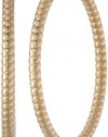Gold-Plated Stainless Steel Textured Hoop Earrings (2.38)
