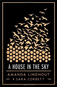 A House in the Sky: A Memoir