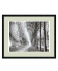 With slender rows of birch trees that appear endless, this striking black and white print by the photographer Chip Forelli imbues your home with a touch of the infinite. Beautifully framed in wood with a satin black finish and grainy surface. With slender rows of birch trees that appear endless, this striking black and white print by the photographer Chip Forelli imbues your home with a touch of the infinite. Beautifully framed in wood with a satin black finish and grainy surface.