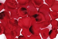 Darice RC-7210-02, Big Value Rose Petals, 300-Piece, Red Darice RC-7210-02, Big Value Rose Petals, 300-Piece, Red