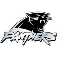 NFL Carolina Panthers Chrome Automobile Emblem NFL Carolina Panthers Chrome Automobile Emblem