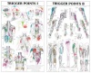 Trigger Points I and II Laminated Chart/Posters