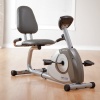 Stamina 1350 Magnetic Recumbent Exercise Bike