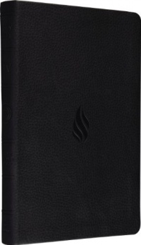 ESV Value Thinline Bible (TruTone, Midnight, Flame Design)