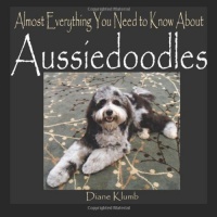 Almost Everything You Need to Know About Aussiedoodles Almost Everything You Need to Know About Aussiedoodles
