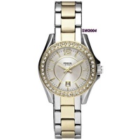 Fossil Women's ES2880 Riley Mini Stainless Steel Two-Tone Watch Fossil Women's ES2880 Riley Mini Stainless Steel Two-Tone Watch