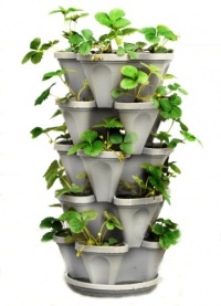 Mr Stacky 5 Tiered Hanging and Stacking Indoor Outdoor Vertical Strawberry Planter - Learn How to Grow Organic Strawberries Easy with These Cool Stone Plastic Containers - Great Garden Planting Pots - Planters Also Used for Herbs Peppers Flowers Tomatoes 