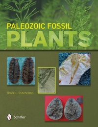 Paleozoic Fossil Plants Paleozoic Fossil Plants