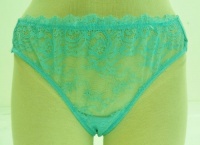Wacoal Women's Seduction Bikini Panty, Blue Radiance, Large Wacoal Women's Seduction Bikini Panty, Blue Radiance, Large