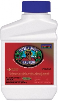 Bonide 252 16 oz Captain Jacks Dead Bug Brew Concentrate Bonide 252 16 oz Captain Jacks Dead Bug Brew Concentrate