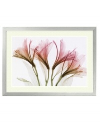 More than meets the eye, this Steven N. Meyers print combines x-ray images to reveal the ethereal beauty of alstroemeria blossoms. Its eco-chic frame features a brushed stainless steel look and recycled core for sleek, eco-chic style. More than meets the eye, this Steven N. Meyers print combines x-ray images to reveal the ethereal beauty of alstroemeria blossoms. Its eco-chic frame features a brushed stainless steel look and recycled core for sleek, eco-chic style.
