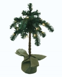 Have a white-hot Christmas. Decorated with clear lights, this palm-inspired tree from Kurt Adler is a fun twist on the traditional pine or fir. Cute for warm climates. Have a white-hot Christmas. Decorated with clear lights, this palm-inspired tree from Kurt Adler is a fun twist on the traditional pine or fir. Cute for warm climates.