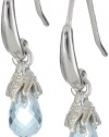 Sterling Silver Briolette Dangle Earrings