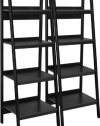 Altra Furniture Metal Frame Bundle Bookcase Ladder, Black, Set of 2