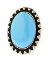 TRENDY FASHION OVAL ACRYLIC RING BY FASHION DESTINATION | (Blue)